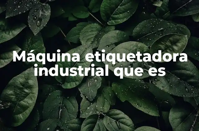 Máquina Etiquetadora Industrial que es
