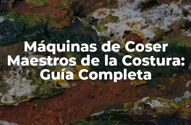 Máquinas de Coser Maestros de la Costura: Guía Completa