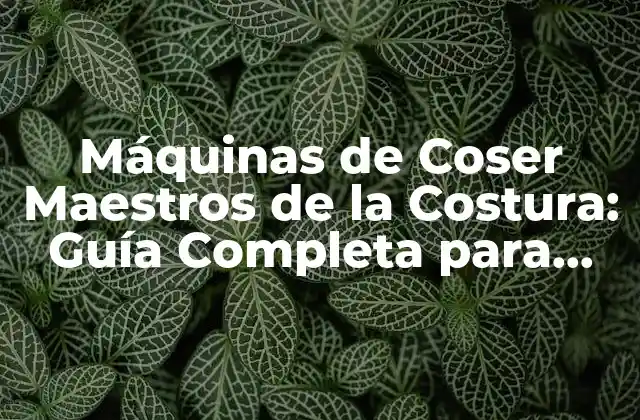 Máquinas de Coser Maestros de la Costura: Guía Completa para Principiantes y Expertos