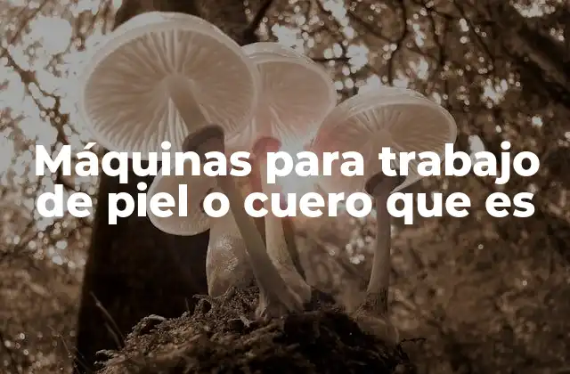 Máquinas para Trabajo de Piel o Cuero que es