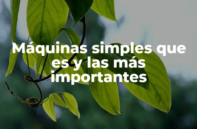 Máquinas Simples que es y las Más Importantes 2 El impacto de las máquinas simples en la vida cotidiana