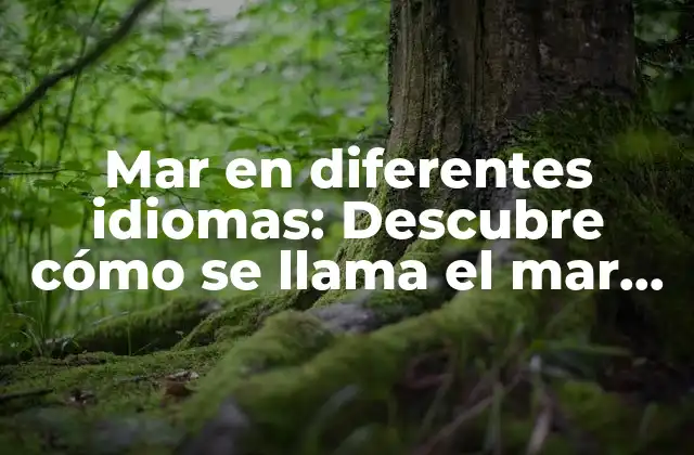 Mar en Diferentes Idiomas: Descubre Cómo Se Llama el Mar en Todo el Mundo
