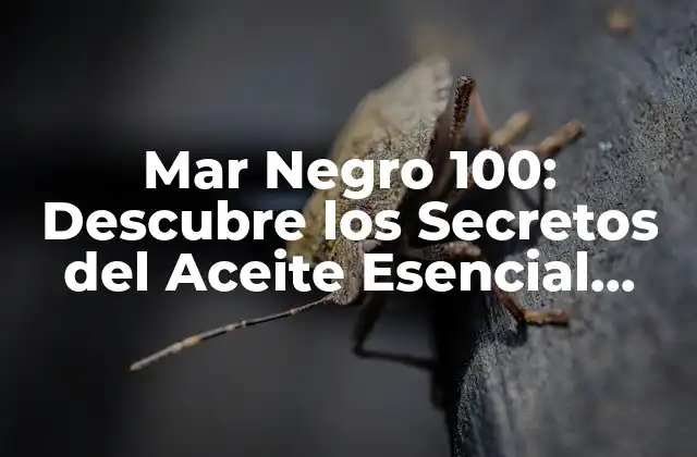 Mar Negro 100: Descubre los Secretos Del Aceite Esencial Más Poderoso