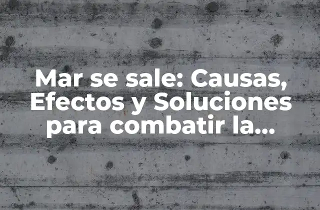 Mar Se Sale: Causas, Efectos y Soluciones para Combatir la Erosión Costera