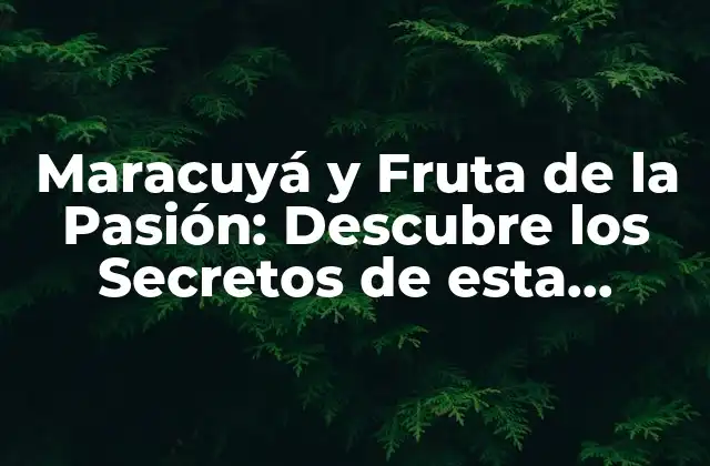 Maracuyá y Fruta de la Pasión: Descubre los Secretos de Esta Deliciosa Fruta