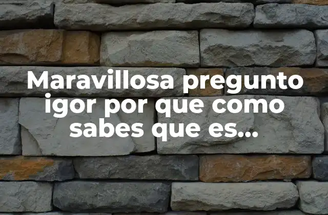 Maravillosa Pregunto Igor por que como Sabes que es Maravillosa