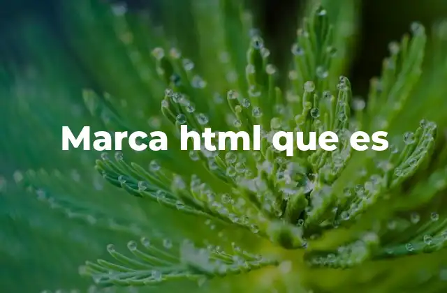Cómo las marcas HTML definen la estructura de una página web