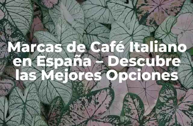 Marcas de Café Italiano en España – Descubre las Mejores Opciones
