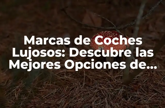 Marcas de Coches Lujosos: Descubre las Mejores Opciones de Lujo