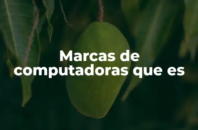 Marcas de Computadoras que es