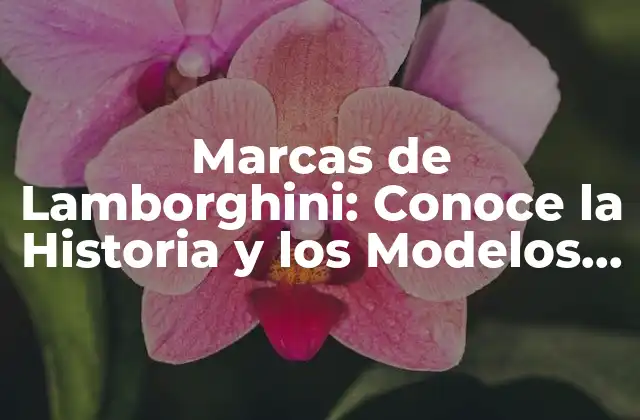 Marcas de Lamborghini: Conoce la Historia y los Modelos Más Emblemáticos 2 Orígenes de Lamborghini