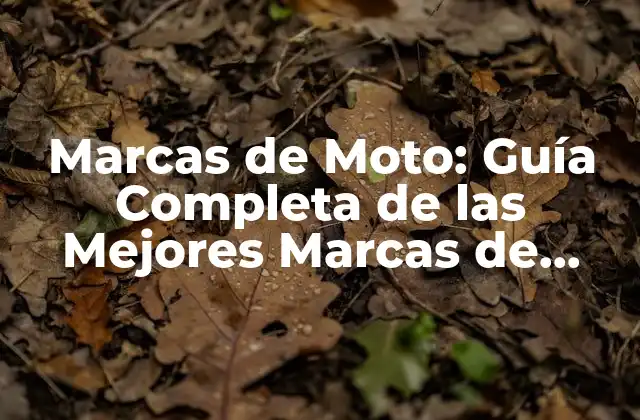 Marcas de Moto: Guía Completa de las Mejores Marcas de Motocicletas