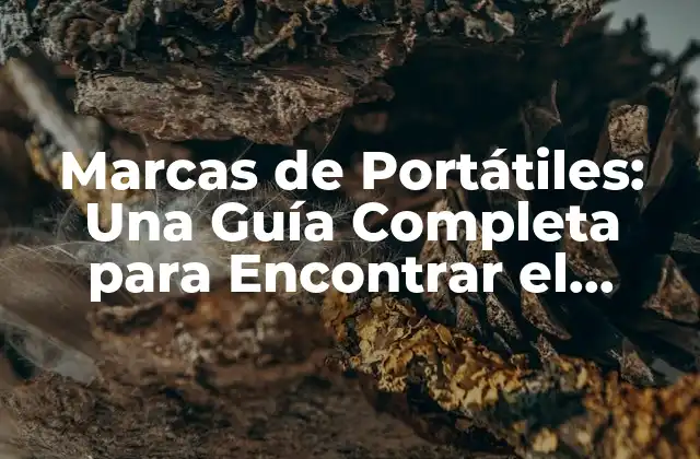 Marcas de Portátiles: una Guía Completa para Encontrar el Portátil Perfecto