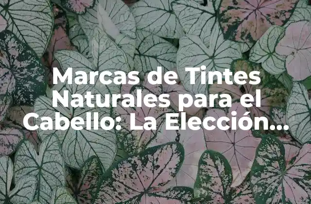 Marcas de Tintes Naturales para el Cabello: la Elección Perfecta para un Pelo Saludable