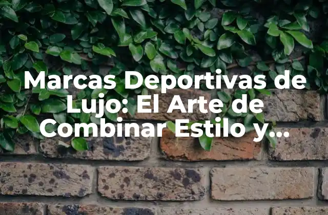 Marcas Deportivas de Lujo: el Arte de Combinar Estilo y Rendimiento