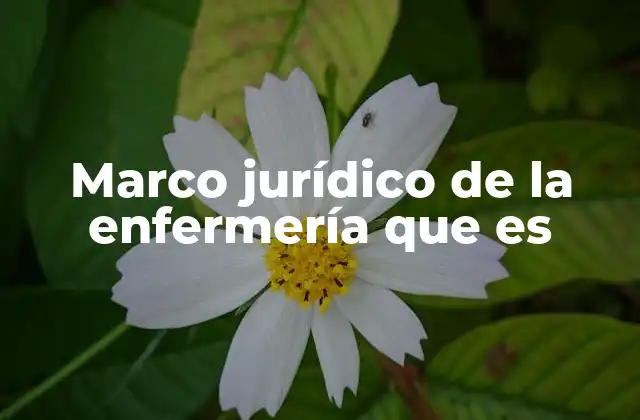 Marco Jurídico de la Enfermería que es