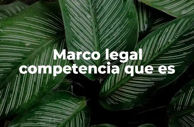 Marco Legal Competencia que es