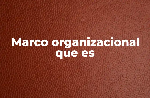 Marco Organizacional que es