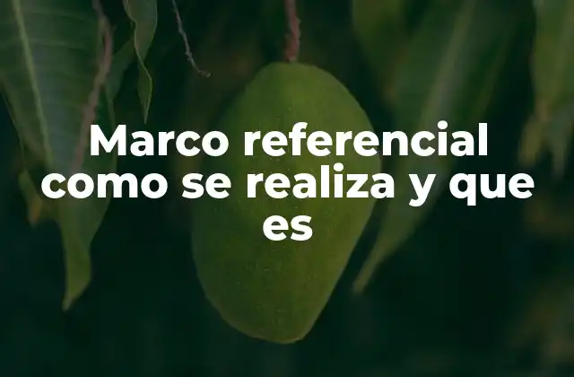 Marco Referencial como Se Realiza y que es
