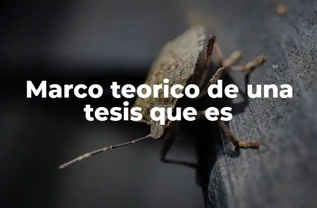 Marco Teorico de una Tesis que es