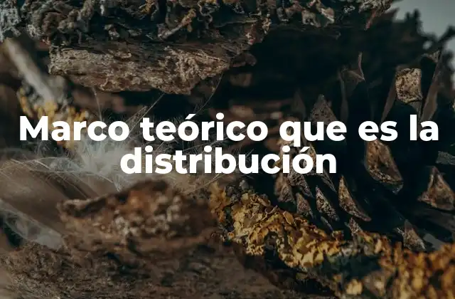 Marco Teórico que es la Distribución