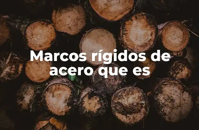 Marcos Rígidos de Acero que es