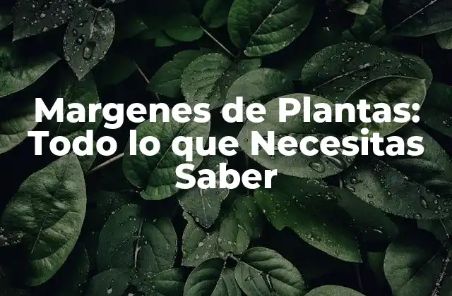 Margenes de Plantas: Todo Lo que Necesitas Saber