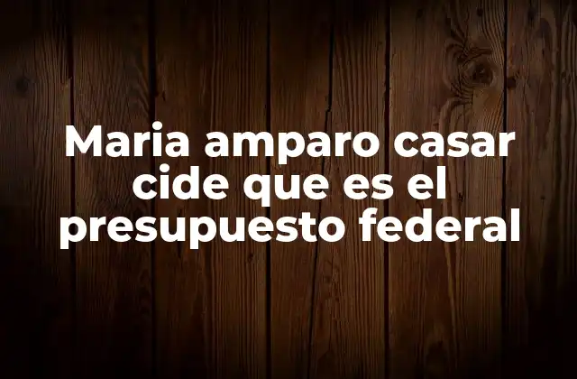 Maria Amparo Casar Cide que es el Presupuesto Federal