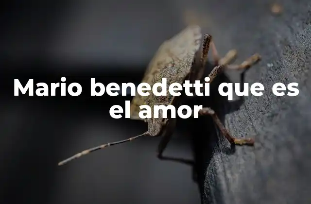 Mario Benedetti que es el Amor