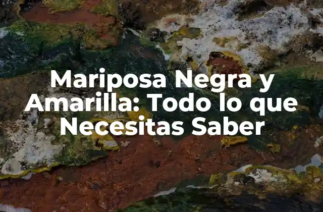 Mariposa Negra y Amarilla: Todo Lo que Necesitas Saber