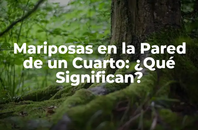 Mariposas en la Pared de un Cuarto: ¿qué Significan?