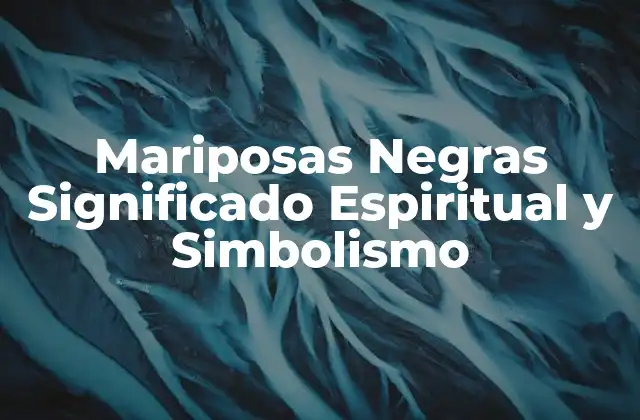 Mariposas Negras Significado Espiritual y Simbolismo 2 El Significado de las Mariposas Negras en Diferentes Culturas