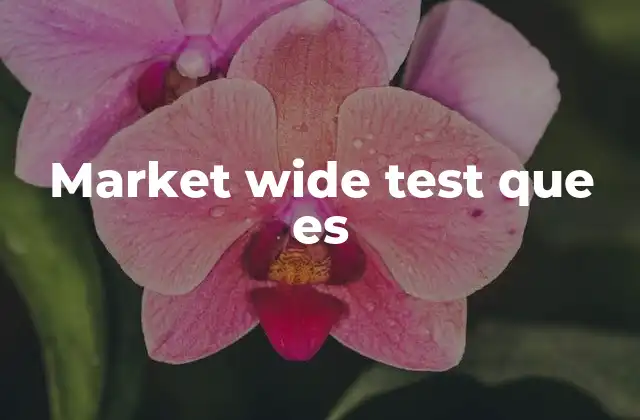 Market Wide Test que es