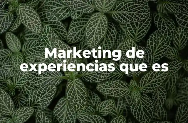 Cómo el marketing de experiencias redefine la relación entre marca y consumidor