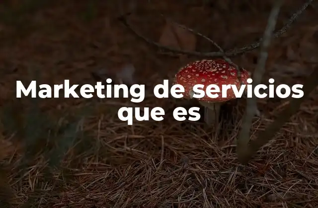 Marketing de Servicios que es
