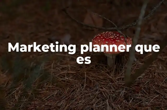 Marketing Planner que es