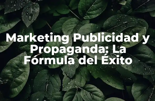 Marketing Publicidad y Propaganda: la Fórmula Del Éxito
