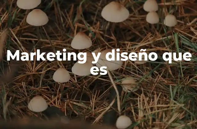 Marketing y Diseño que es