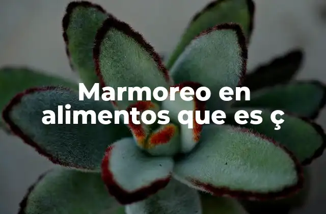 Marmoreo en Alimentos que es Ç