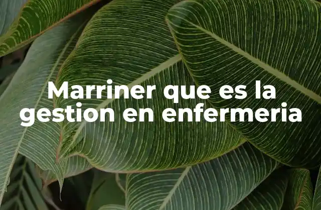 Marriner que es la Gestion en Enfermeria