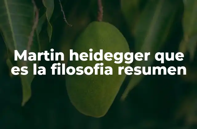 Martin Heidegger que es la Filosofia Resumen
