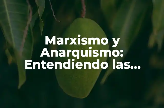 Marxismo y Anarquismo: Entendiendo las Diferencias entre Dos Ideologías Revolucionarias