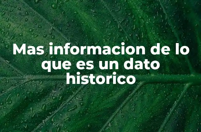 Mas Informacion de Lo que es un Dato Historico