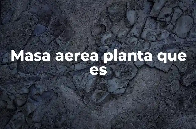 Masa Aerea Planta que es