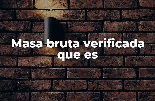 Masa Bruta Verificada que es
