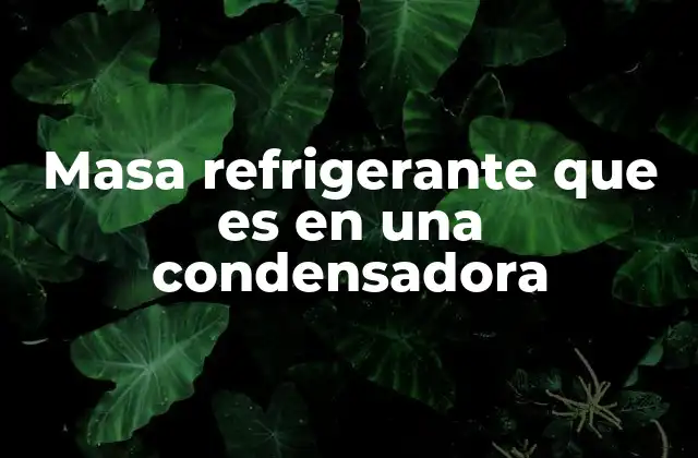 Masa Refrigerante que es en una Condensadora