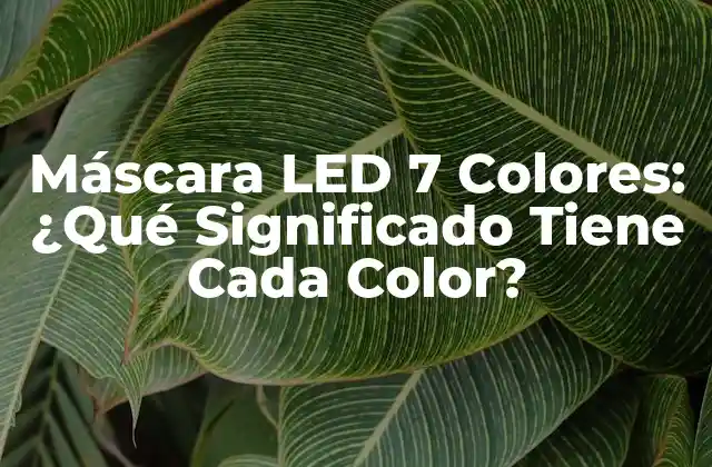 Máscara Led 7 Colores: ¿qué Significado Tiene Cada Color?