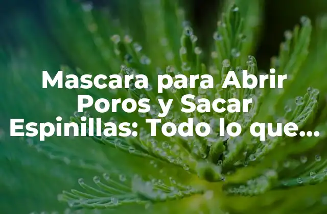 Mascara para Abrir Poros y Sacar Espinillas: Todo Lo que Necesitas Saber
