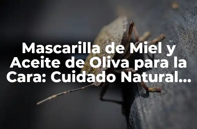 Mascarilla de Miel y Aceite de Oliva para la Cara: Cuidado Natural y Efectivo para Tu Piel