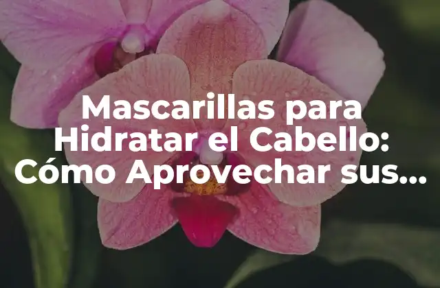 ¿Qué son las Mascarillas para Hidratar el Cabello?